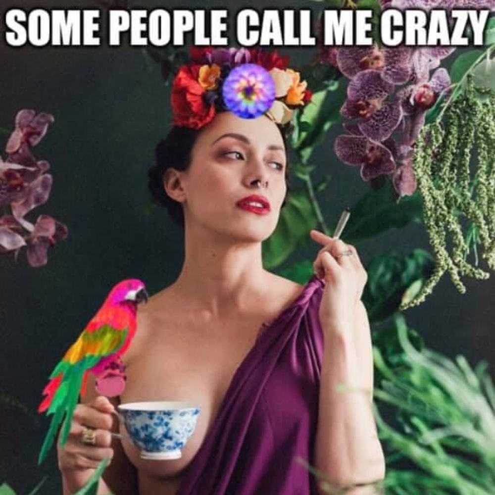 Meet your Posher, Christy